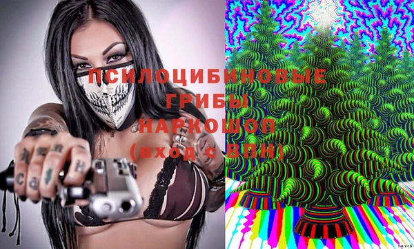 герыч Бородино