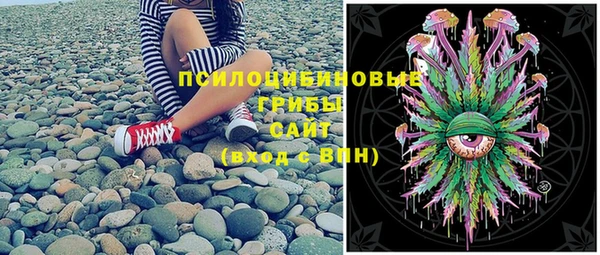 первитин Богородицк